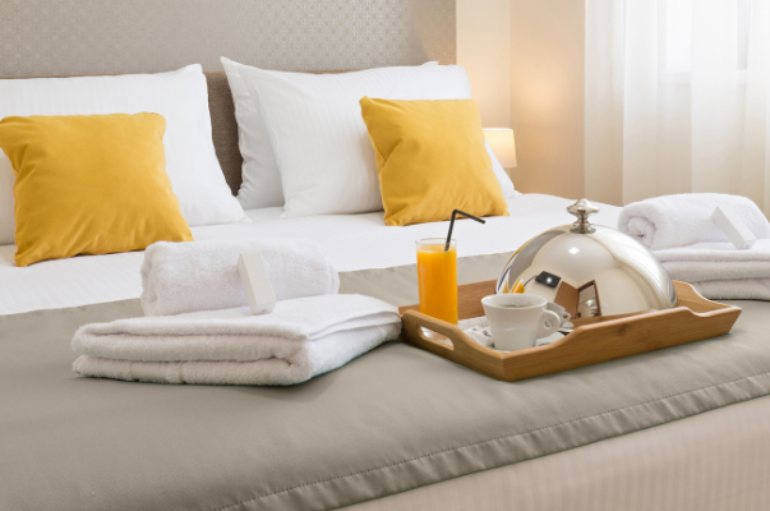 Hôtels Lyonnais : Exterminez les punaises de lit lorsque votre réputation en dépend ?